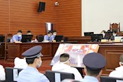 谭某等22人组织、领导、参加黑社会性质组织等罪案一审宣判