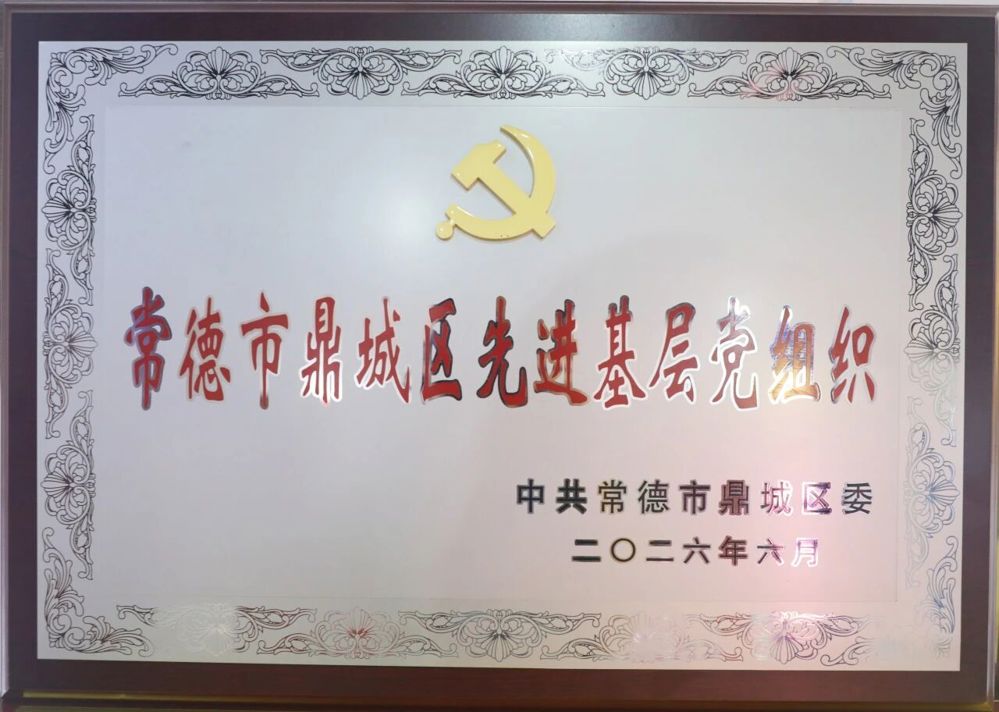 【迎七一】这个支部获评先进基层党组织！